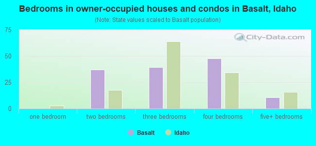 Bedrooms in owner-occupied houses and condos in Basalt, Idaho