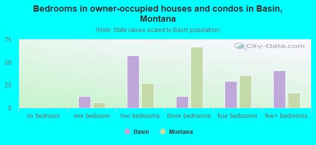 Bedrooms in owner-occupied houses and condos in Basin, Montana