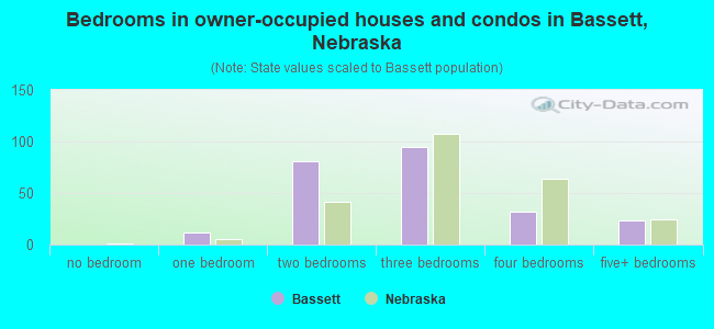 Bedrooms in owner-occupied houses and condos in Bassett, Nebraska