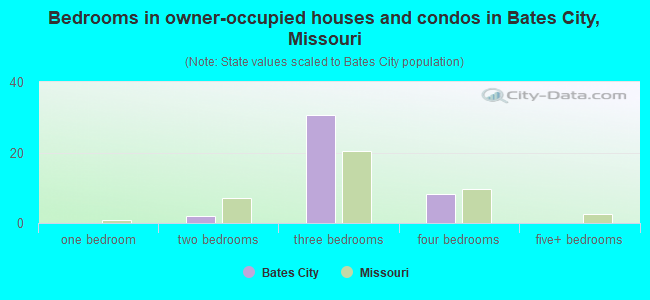 Bedrooms in owner-occupied houses and condos in Bates City, Missouri