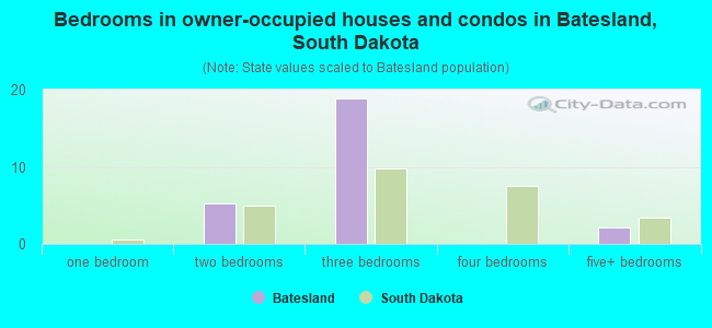 Bedrooms in owner-occupied houses and condos in Batesland, South Dakota