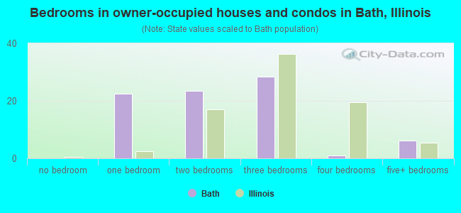 Bedrooms in owner-occupied houses and condos in Bath, Illinois