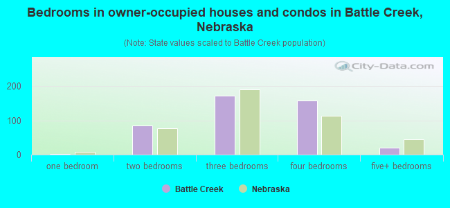 Bedrooms in owner-occupied houses and condos in Battle Creek, Nebraska