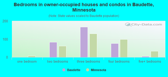 Bedrooms in owner-occupied houses and condos in Baudette, Minnesota