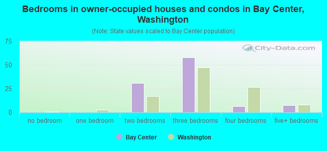 Bedrooms in owner-occupied houses and condos in Bay Center, Washington