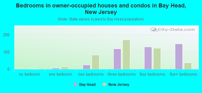 Bedrooms in owner-occupied houses and condos in Bay Head, New Jersey