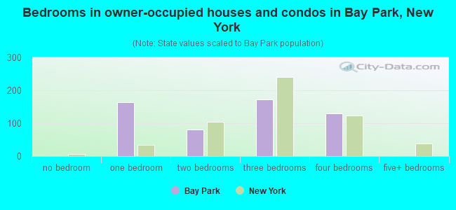Bedrooms in owner-occupied houses and condos in Bay Park, New York
