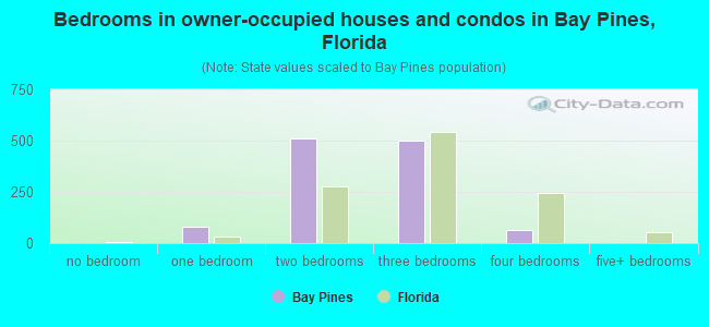 Bedrooms in owner-occupied houses and condos in Bay Pines, Florida