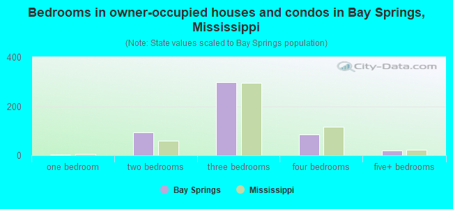 Bedrooms in owner-occupied houses and condos in Bay Springs, Mississippi