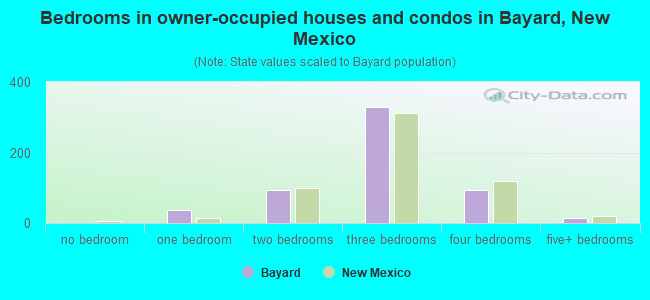 Bedrooms in owner-occupied houses and condos in Bayard, New Mexico