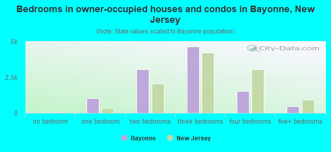 Bedrooms in owner-occupied houses and condos in Bayonne, New Jersey