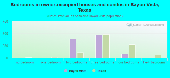 Bedrooms in owner-occupied houses and condos in Bayou Vista, Texas