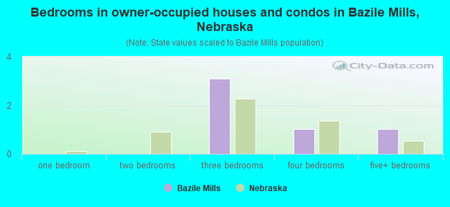 Bedrooms in owner-occupied houses and condos in Bazile Mills, Nebraska