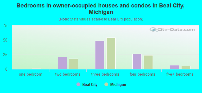 Bedrooms in owner-occupied houses and condos in Beal City, Michigan