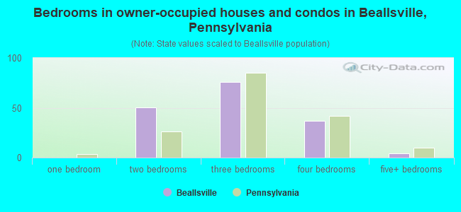 Bedrooms in owner-occupied houses and condos in Beallsville, Pennsylvania