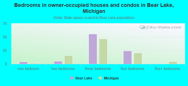 Bedrooms in owner-occupied houses and condos in Bear Lake, Michigan