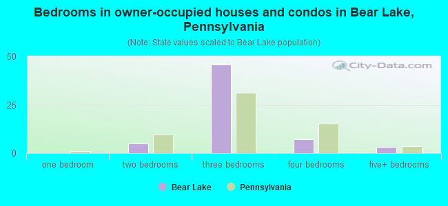 Bedrooms in owner-occupied houses and condos in Bear Lake, Pennsylvania