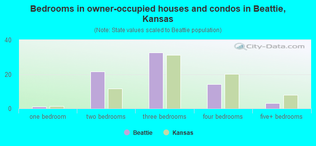 Bedrooms in owner-occupied houses and condos in Beattie, Kansas