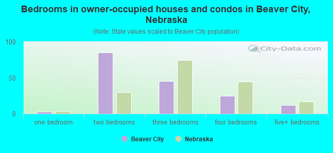Bedrooms in owner-occupied houses and condos in Beaver City, Nebraska
