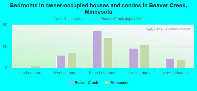 Bedrooms in owner-occupied houses and condos in Beaver Creek, Minnesota