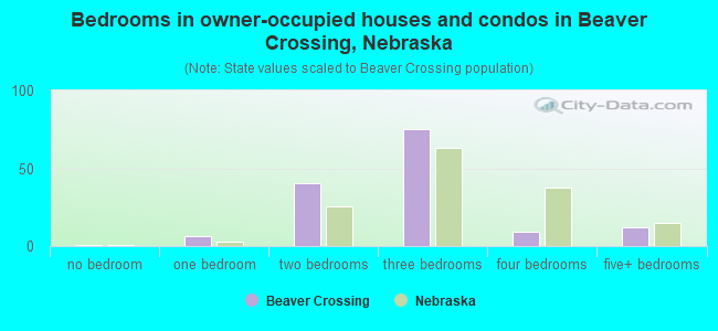 Bedrooms in owner-occupied houses and condos in Beaver Crossing, Nebraska