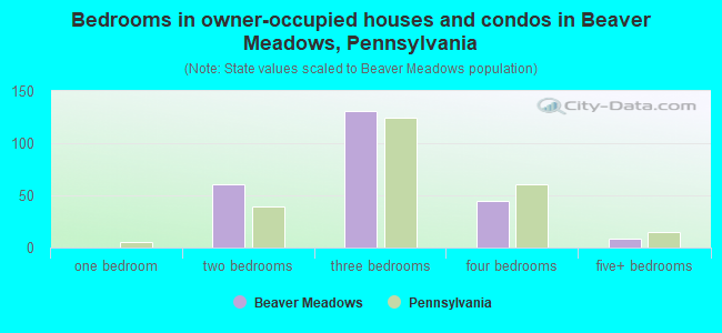 Bedrooms in owner-occupied houses and condos in Beaver Meadows, Pennsylvania