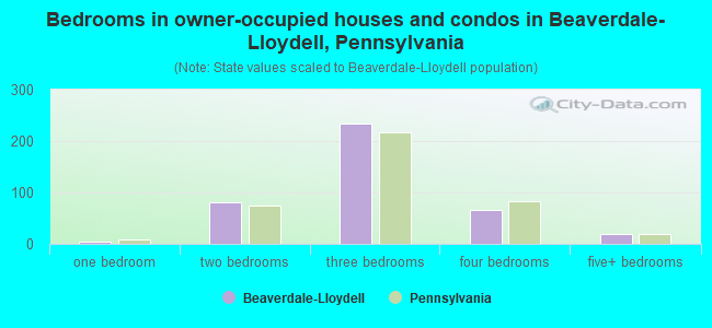 Bedrooms in owner-occupied houses and condos in Beaverdale-Lloydell, Pennsylvania