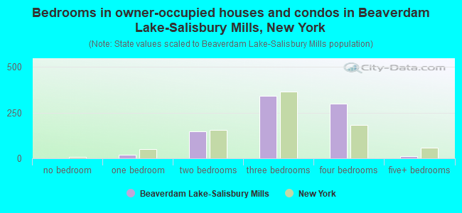 Bedrooms in owner-occupied houses and condos in Beaverdam Lake-Salisbury Mills, New York