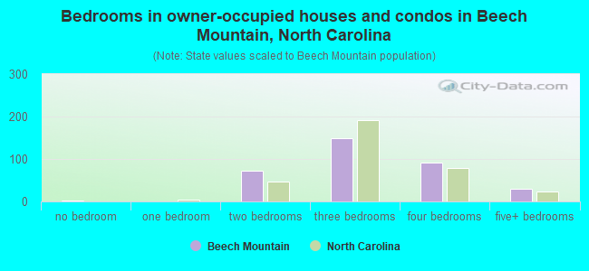 Bedrooms in owner-occupied houses and condos in Beech Mountain, North Carolina