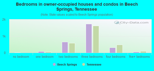 Bedrooms in owner-occupied houses and condos in Beech Springs, Tennessee