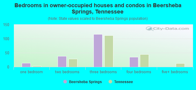 Bedrooms in owner-occupied houses and condos in Beersheba Springs, Tennessee