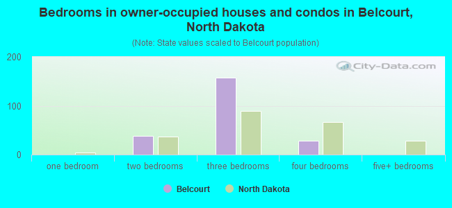 Bedrooms in owner-occupied houses and condos in Belcourt, North Dakota