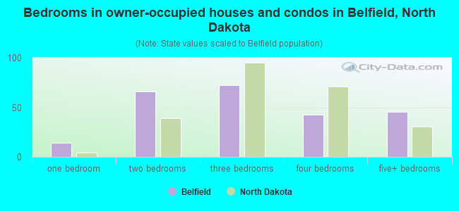 Bedrooms in owner-occupied houses and condos in Belfield, North Dakota