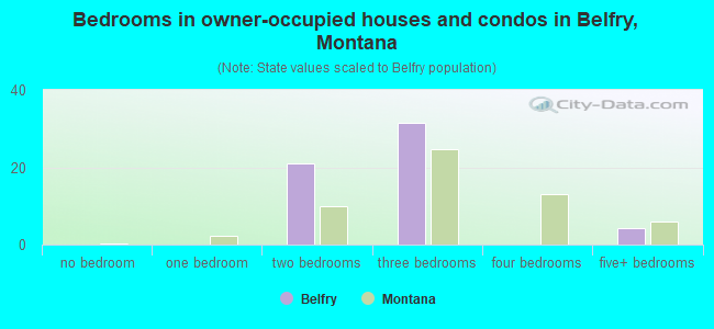 Bedrooms in owner-occupied houses and condos in Belfry, Montana