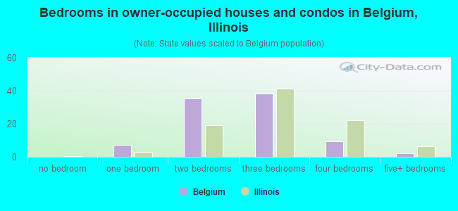 Bedrooms in owner-occupied houses and condos in Belgium, Illinois