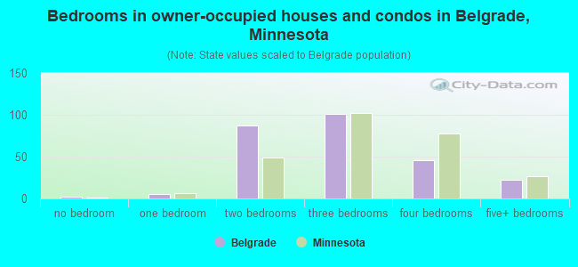 Bedrooms in owner-occupied houses and condos in Belgrade, Minnesota