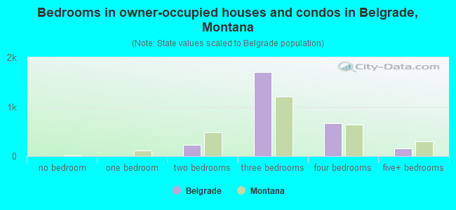 Bedrooms in owner-occupied houses and condos in Belgrade, Montana