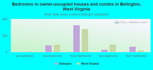 Bedrooms in owner-occupied houses and condos in Belington, West Virginia