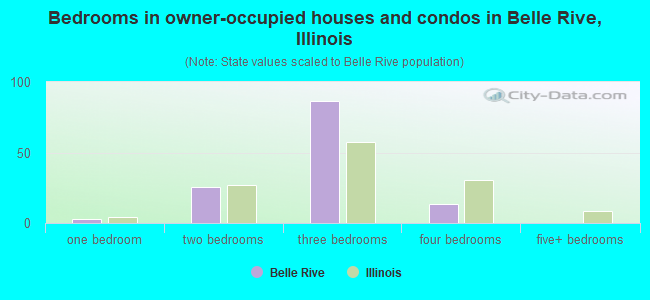 Bedrooms in owner-occupied houses and condos in Belle Rive, Illinois