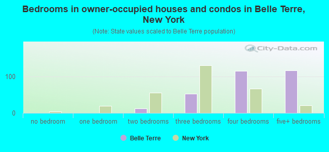 Bedrooms in owner-occupied houses and condos in Belle Terre, New York
