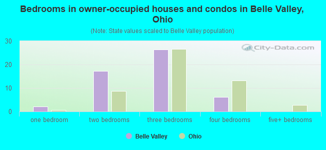 Bedrooms in owner-occupied houses and condos in Belle Valley, Ohio