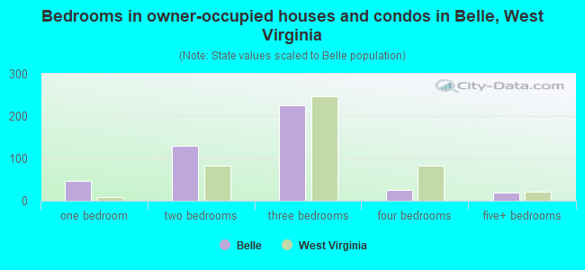 Bedrooms in owner-occupied houses and condos in Belle, West Virginia