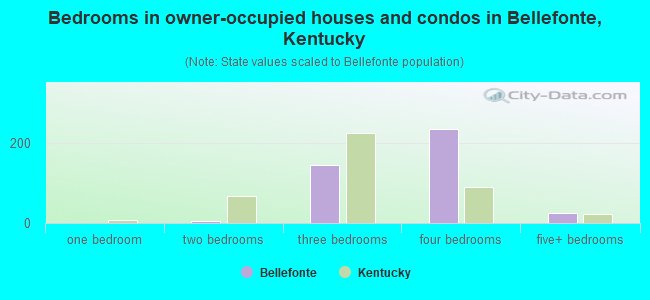 Bedrooms in owner-occupied houses and condos in Bellefonte, Kentucky