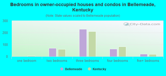Bedrooms in owner-occupied houses and condos in Bellemeade, Kentucky