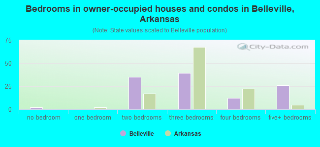 Bedrooms in owner-occupied houses and condos in Belleville, Arkansas