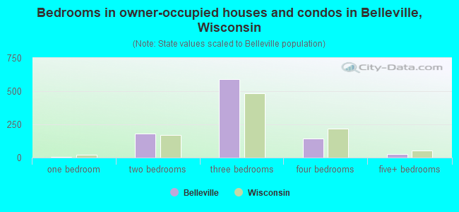 Bedrooms in owner-occupied houses and condos in Belleville, Wisconsin
