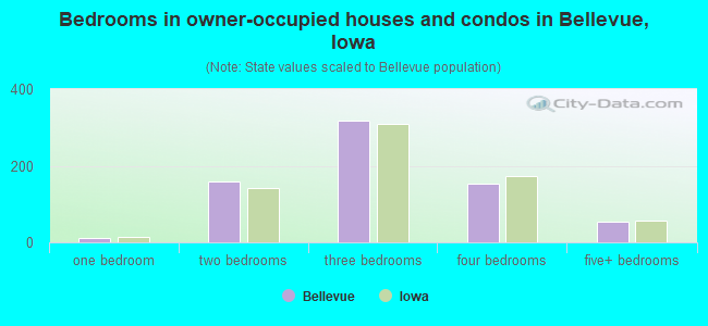 Bedrooms in owner-occupied houses and condos in Bellevue, Iowa