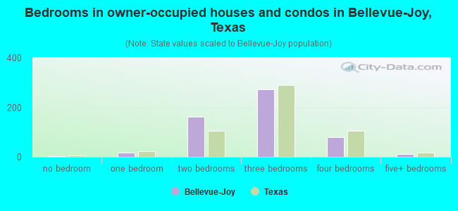 Bedrooms in owner-occupied houses and condos in Bellevue-Joy, Texas