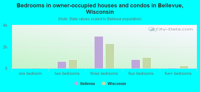 Bedrooms in owner-occupied houses and condos in Bellevue, Wisconsin