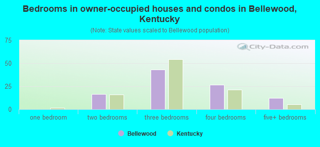 Bedrooms in owner-occupied houses and condos in Bellewood, Kentucky